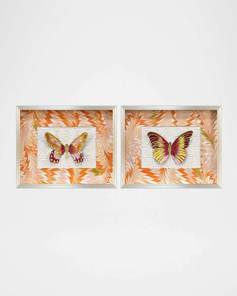 "Flight Patterns II" Alternative Wall Art, Set of 2